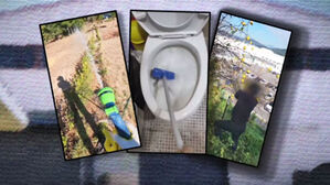 "묘소 관리도 하고 내 몸에 쑥뜸도 떠봐"…회장님의 갑질