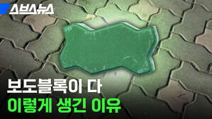 스브스뉴스  보도블록이 다 이렇게 생긴 이유