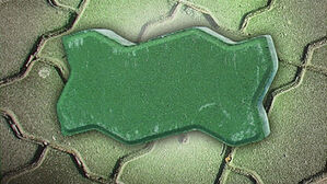 보도블록에도 '유행'이 있다?…다 비슷하게 생긴 이유