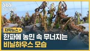 한파*농가