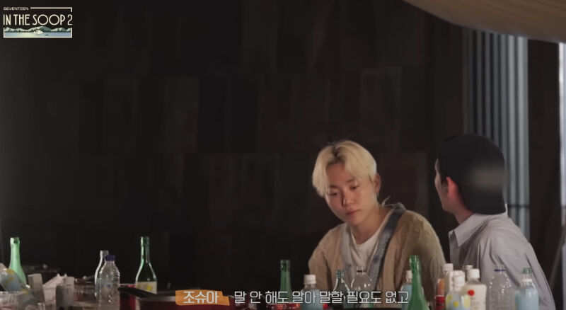 SEUNGKWAN and JOSHUA