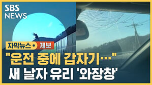 (수정) 자막뉴스 방음벽