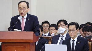 추경호 경제부총리