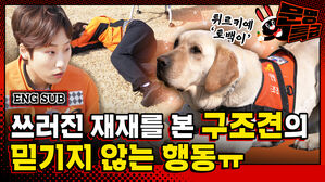 인터뷰 중 쓰러진 재재를 보자마자 튀르키예 구조견 토백이가 보인 놀라운 반응 #감동 #viral