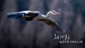 16세 아마추어 '천재' 사진작가…사진기 들게 된 이유는?