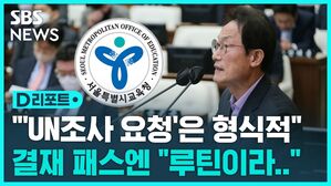 [D리포트] 'UN조사 요청' 후폭풍에 해명 궁색…과장 전결도 논란
