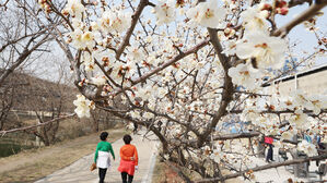 [날씨] 낮 기온, 평년보다 높아…곳곳 미세먼지