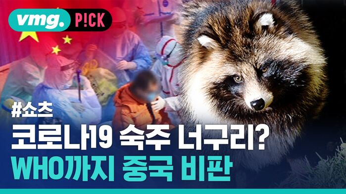 vmg. P!CK #쇼츠 코로나19 숙주 너구리? WHO까지 중국 비판