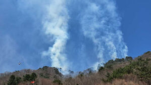강원도 화천 군 사격장 화재&hellip;"현장 못 들어가 진화 어려워"