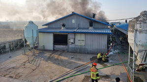 충남 당진 돈사에서 화재&hellip;돼지 530여 마리 폐사