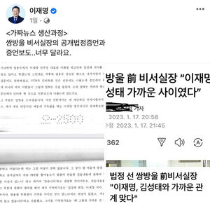 검찰 "이재명 페이스북에 증인신문 조서 게시, 매우 부적절"