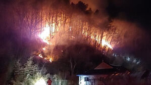 전북 진안 야산서 불…1시간 40분 만에 주불 진화