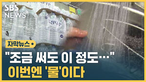 자막 물값