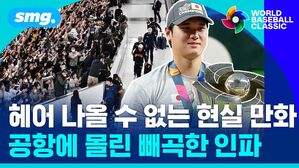 헤어 나올 수 없는 현실 만화 공항에 몰린 빼곡한 인파