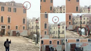 이탈리아 베네치아 다이빙족 골머리 "'좋아요' 몇 개에 목숨 걸어"