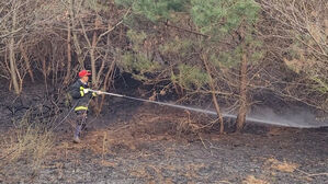 충남 보령 산불…39분 만 진화