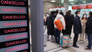 국토부, 제주 폭설 결항 안내 제대로 안한 항공사 3곳에 개선명령