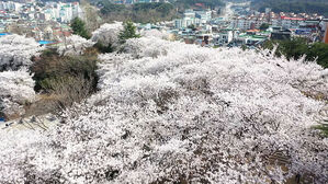 [날씨] 낮 최고 25도&hellip;주말 더 따뜻