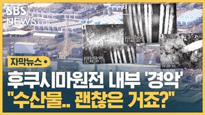 자막2_후쿠시마원전, '원자로 내부' 첫 공개?"
