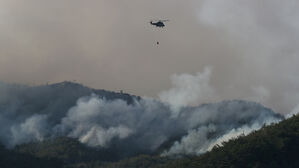 전남 함평 산불 3단계 발령…진화율 29%