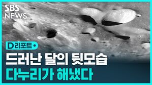 다누리