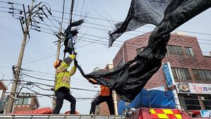 18일 제주시 노형동 한 전신주에 천막이 걸려 안전조치 취하는 소방대원들 (사진=제주도 소방안전본부 제공, 연합뉴스)