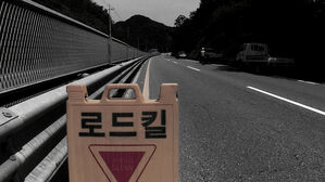 로드킬