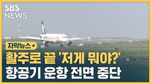 항공기 운항 전면 중단