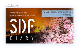 3월에 지는 벚꽃 뉴스레터 썸네일