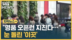 "명품 오픈런 지친다&hellip;" 눈 돌린 '이곳'