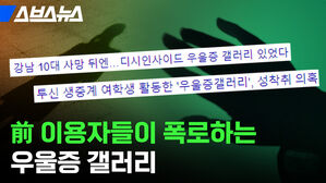 스브스뉴스 강남 10대 사망 뒤엔 디시인사이드 성착취 의혹 활동한 우울증갤러 투신 생중계 여학생 이용자들이 폭로하는 우울증 갤러리