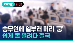 승무원에 일부러 머리 '쿵' 쉽게 돈 벌려다 결국