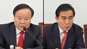 국민의힘 김재원, 태영호 최고위원 오늘 징계 수위 결정