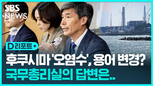 [D리포트] 정부 "시찰단, 해양 방류 과정 안전성 검토"