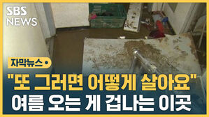 자막 반지하