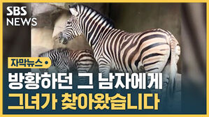 자막 썸넬_세로 여친