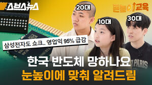 스브스뉴스 20대 돈높 교육  30대  10대 95 급감 쇼크 영업익 삼성전자도 한국 반도체 망하나요 눈높이에 맞춰 알려드림