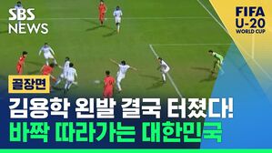 추격골