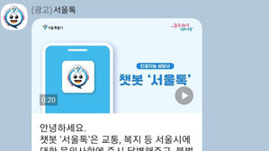 챗봇 '서울톡' 화면 캡처(리사이징)
