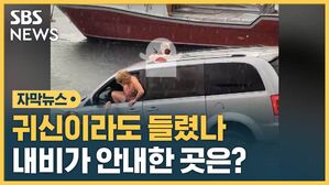 [자막뉴스] 귀신이라도 들렸나?&hellip;내비 따라갔다가 그만