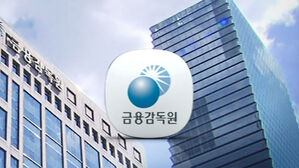 금융감독원
