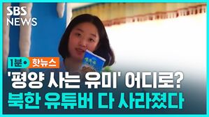 [1분핫뉴스] '평양 사는' 유미, 송아 어디로?&hellip;북한 유튜브 채널 모두 사라졌다