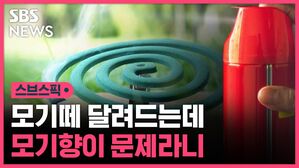 [스브스픽] 모기떼 달려드는데 모기향이 문제라니