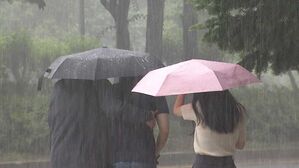 장마 최대 고비, 이번 주 내내 비