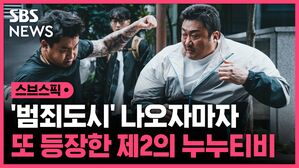 [스브스픽] '범죄도시' VOD 나오자마자…또 등장한 제2의 누누티비