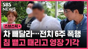 스브스픽 차 빼달라&hellip;전치 6주 폭행 침 뱉고 때리고 영장 기각