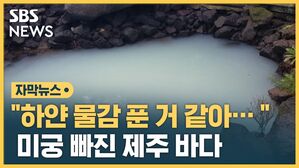 자막 제주 바다