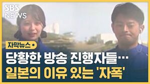 일본 자폭