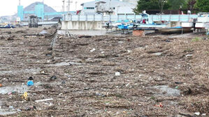 폭우로 금강에 떠내려온 '산더미 쓰레기'&hellip;"출항도 불가"