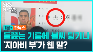 지아비부